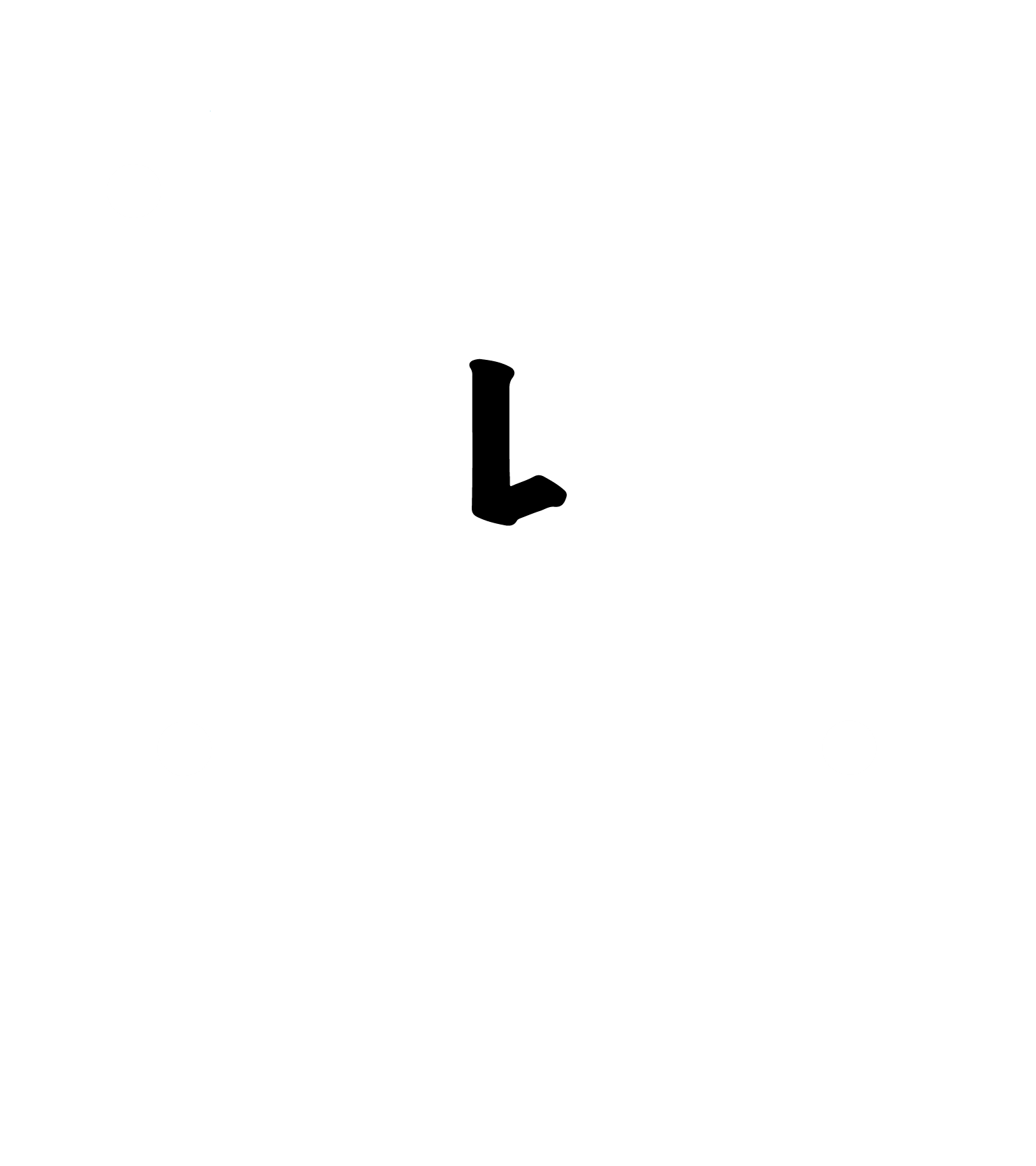 JLM Drone